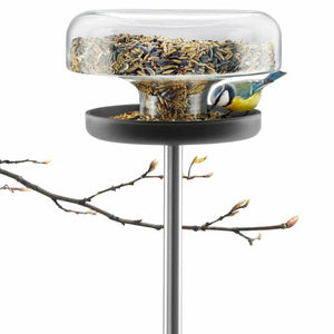 Bird Feeder Table & Bird Bath in Glass