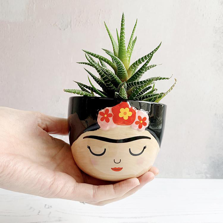 frida plant pot Mini Planter Plant Pot Frida Kahlo Hand Painted – Brand Academy Store