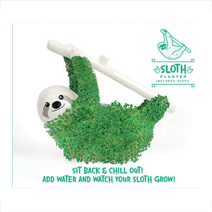 Sloth Planter with Chia Seeds Gift Republic