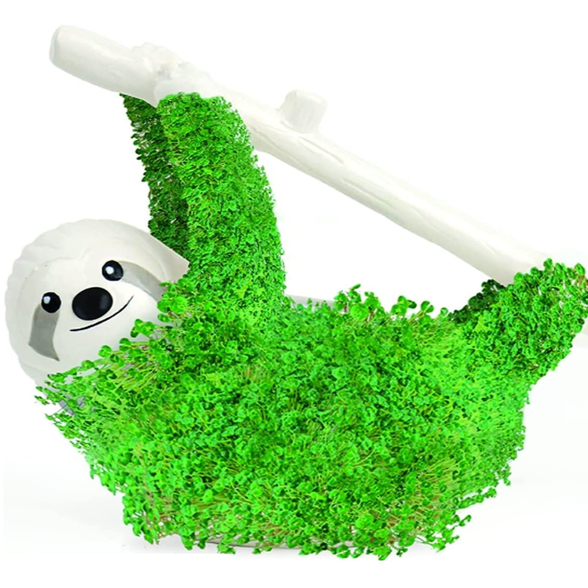 Sloth Planter with Chia Seeds Gift Republic