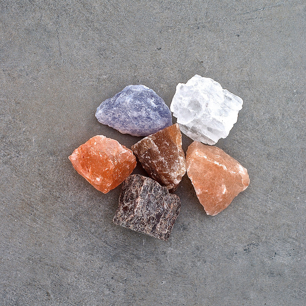 Taste Jr. Set of 6 Mini Salts