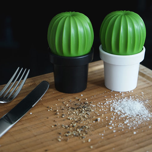 Salt Grinder or Pepper Grinder Cactus in White and Green